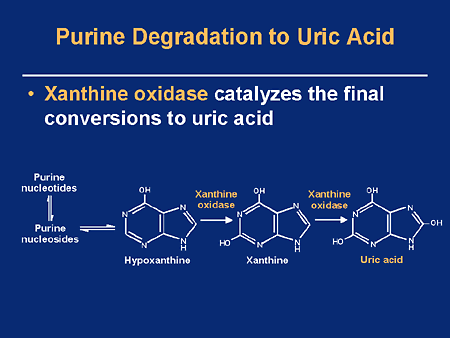 What is the relationship between serum uric acid and ...