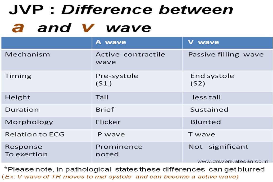 How Do You Differentiate A Wave From V In Jvp Dr S